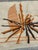 Modern Aubusson Tapestry by M Ravaux Maison, 1970s For Sale - Image 3 of 18