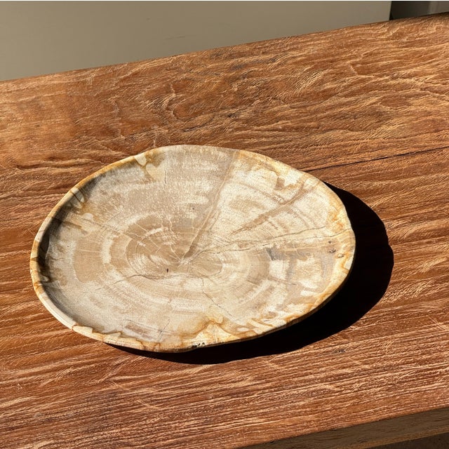 Small Oval Beige Petrified Wood Trinket Dish or Tray with Speckled Rings For Sale - Image 13 of 18