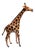 Tall African Papier-Mâché Giraffe With Leather Ears For Sale