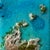 Flying Over the Ocean #4 by Ana Hefco | Layered tinted resin & Mixed Media on wood panel abstract ocean scene For Sale