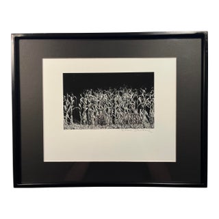 1994 Evan Deutsch Photographer "Corn" Signed Gelatin Photograph, Framed For Sale