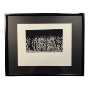1994 Evan Deutsch Photographer "Corn" Signed Gelatin Photograph, Framed