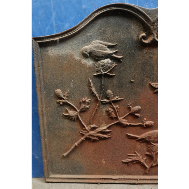 Cast iron fireplace backplate decorated with birds and branches. Very good condition. DIMENSIONS: 0.85m x 0.67m.