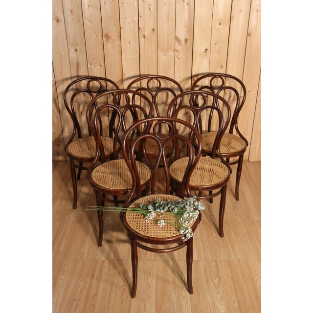 Antique Angel Wing Model Bistro Chairs by Hofmann, 1900, Set of 6 For Sale - Image 9 of 9