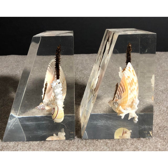 Mid 20th Century Mid 20th Century Pair of Whimsical Clear Bookends With Seashells and Seahorse For Sale - Image 5 of 12