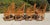 Chinoiserie Vintage Rattan Bamboo Brighton Pavillion Chairs With Caned Seats, a Set of 4 For Sale - Image 3 of 11