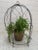 Antique French Wire Cloche For Sale - Image 12 of 12