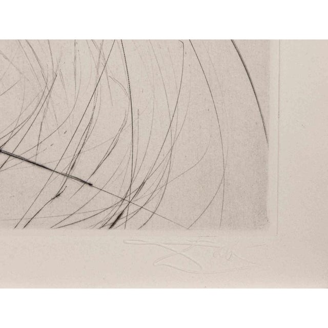 Etching and drypoint realized by Salvador Dalì to illustrate Pierre Ronsard's "Les Amours de Cassandre". Published by...