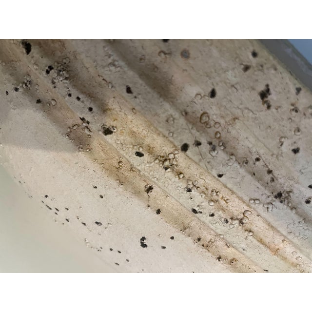 Add a touch of warmth and rustic aesthetic with this terracotta pot. This classic silhouette has a delicate upward taper,...