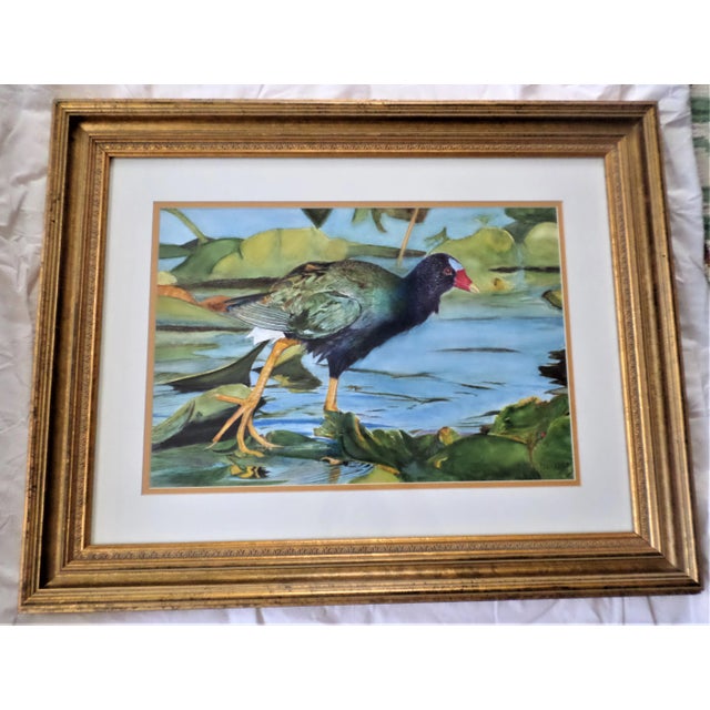 1970s "Purple Gallinule Bird in Pond" Watercolor Painting, Framed For Sale - Image 13 of 13