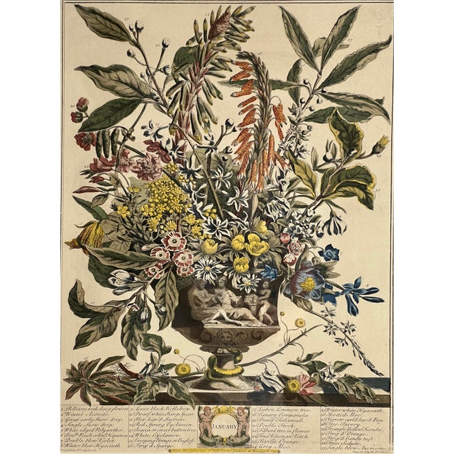 Green Late 20th Century Framed Prints, 12 Months of Flowers by Robert Furber Orig. 1730 - Set of Four For Sale - Image 8 of 18
