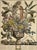 Green Late 20th Century Framed Prints, 12 Months of Flowers by Robert Furber Orig. 1730 - Set of Four For Sale - Image 8 of 18