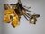Maison Jansen Vintage French Brass Chandelier from Maison Jansen, 1970s For Sale - Image 4 of 11