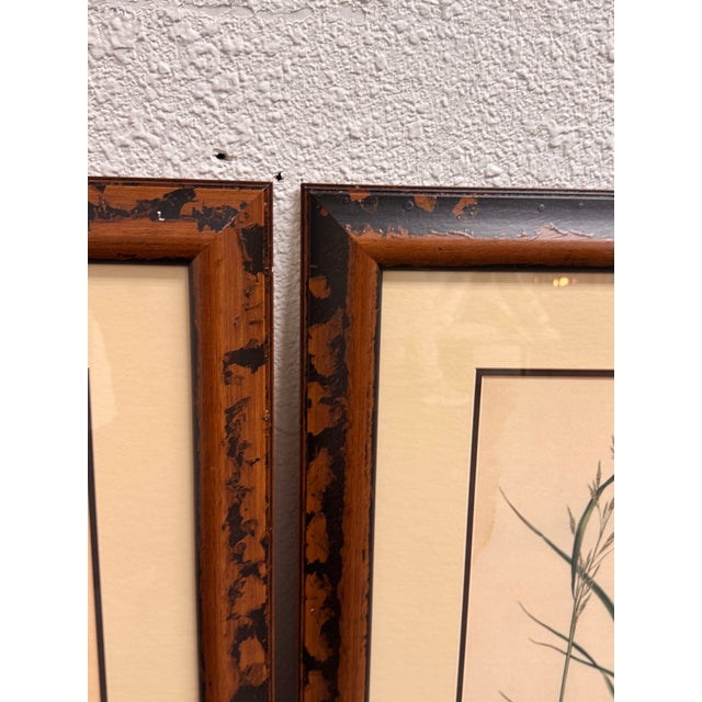 Crate & Barrel Botanical Study Prints, Set of Three For Sale - Image 9 of 12