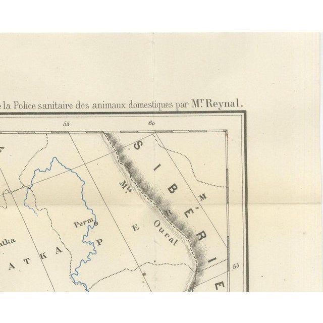 Gold Antique Map of the Cattle Plague in Europe by Reynal, 1873 For Sale - Image 8 of 12