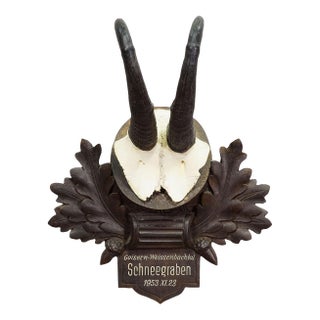 Large Chamois Trophy on Carved Plaque, Austria 1953 For Sale