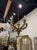 The product is a 19th-century Italian carved and painted chandelier. Featuring an ornated chandelier in green and gold....
