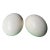 Large Pair of Authentic Ostrich Eggs For Sale