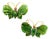 Vintage Carved Jade Butterfly Brooches in 14k Gold With Ruby Accents – Pair For Sale