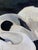 Theo Dodge Signed Oil, Two Swans on the Water, Palatka Florida For Sale - Image 4 of 10