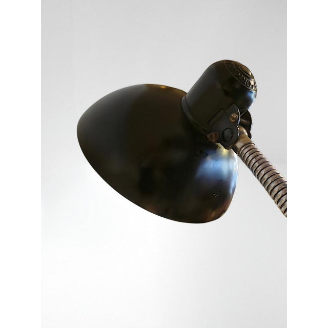 Bauhaus Clamp Desk Lamp by Christian Dell for Kaiser Idell / Kaiser Leuchten For Sale - Image 4 of 8
