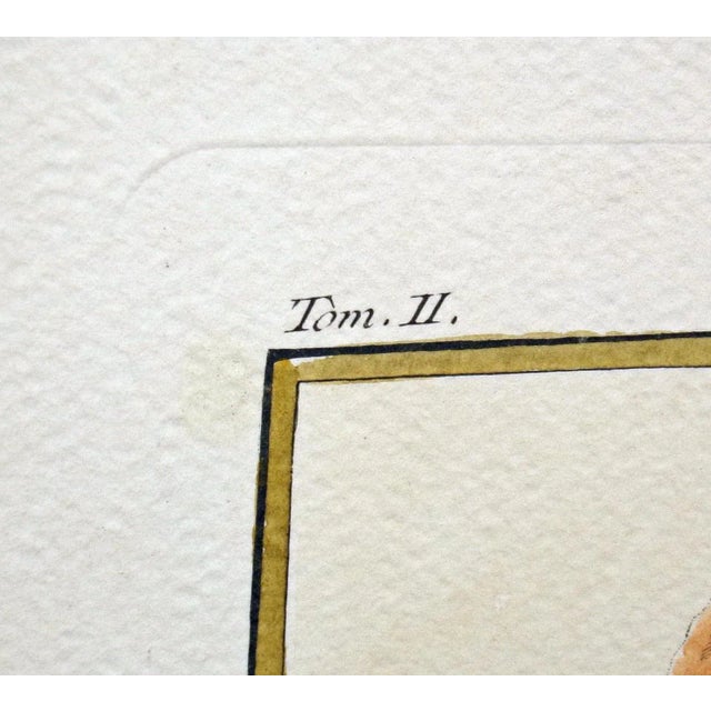 Realism 18th Century "Chasselas Dore" Hand Colored 1768 Grape Print For Sale - Image 3 of 10