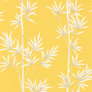 Harlequin Isabella Wallpaper in Honey/Porcelain For Sale