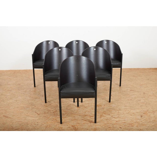 Black Costes Chair Set in Black Lacquered Tubular Steel Frame, Molded Plywood Seat and Leather by Philippe Starck, 1984, Set of 6 For Sale - Image 8 of 17