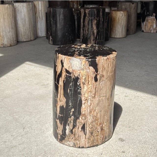 Side Table in Black Petrified Wood with Beige Sides, 1980s For Sale - Image 13 of 18