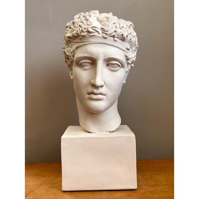 Vintage Plaster Classical Bust of Roman Warrior For Sale - Image 15 of 18