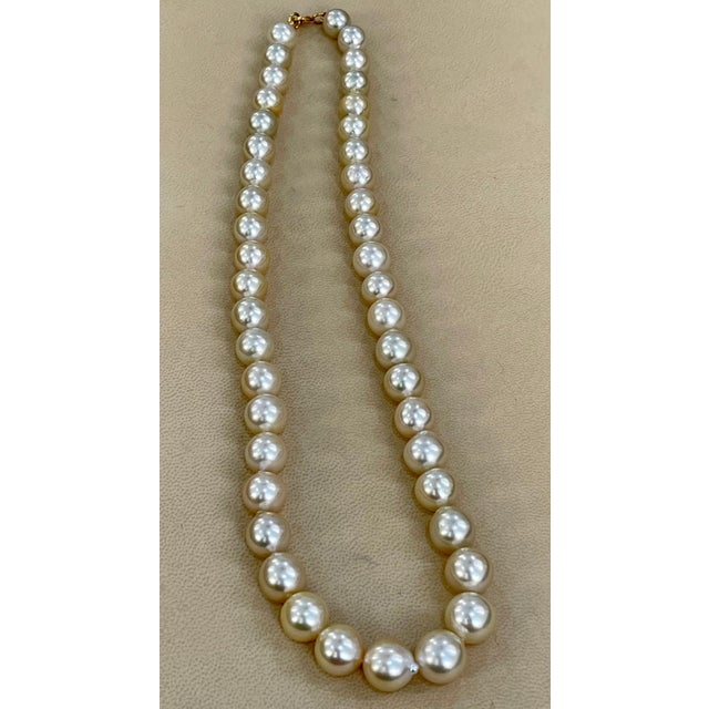 Graduating Cream Color South Sea Pearls Necklace 14 Karat Yellow Gold Clasp For Sale - Image 11 of 18