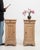 19th Century Pair Of Oak Louis Philippe Side Tables For Sale - Image 11 of 14