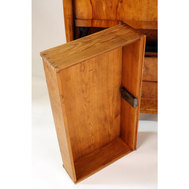 Wood Biedermeier Secretaire in Apple Wood, 1820 For Sale - Image 7 of 12