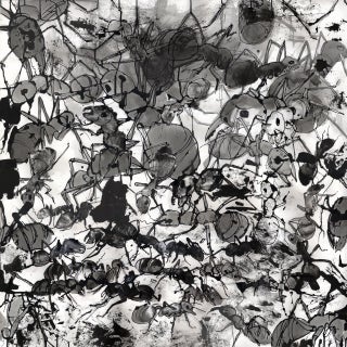 Ants by Guusje Bertholet For Sale