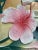 Original 1950s MCM Hand Painted Flamingo Tropical 5 Panel Carved Wood Room Divider For Sale - Image 11 of 14