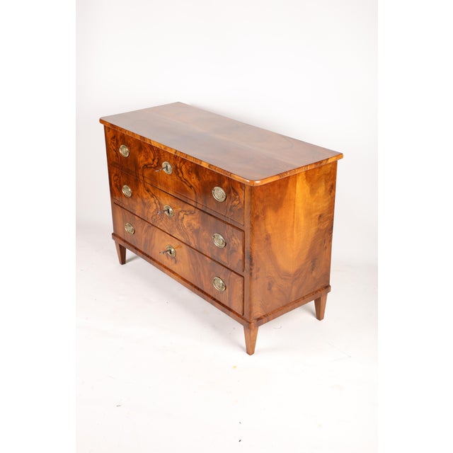 Wood Biedermeier Chest of Drawers in Walnut, 1830s For Sale - Image 7 of 18