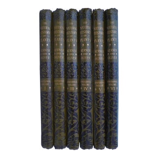 Early 20th Century Illustrated Volume Set, Kerner and Oliver's the Natural History of Plants - 6 Books For Sale