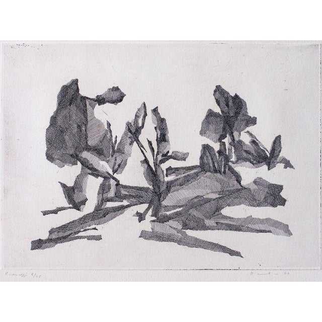 Fiorella Diamantini, Landscape, Etching, 1960s For Sale - Image 3 of 3