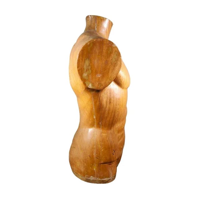 Tan French Wooden Male Torso, 1950s For Sale - Image 8 of 13