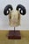 Wood Vintage Indo Persian Carved Wood Ram Head Bust Sculpture on Stand 18" For Sale - Image 7 of 16