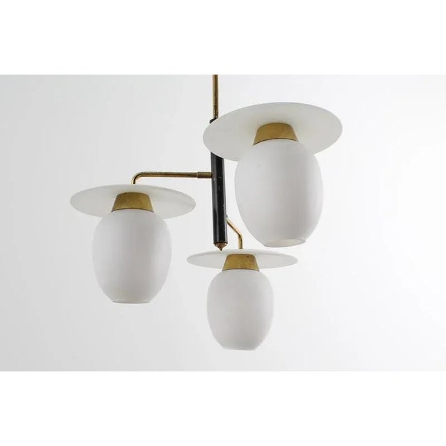 Mid-Century Modern Brass and Curved Glass Hanging Light, 1950s For Sale - Image 12 of 18