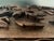 19th Century Antique Kashmiri Hand-Carved Monogrammed Walnut Box With Original Key For Sale - Image 4 of 18