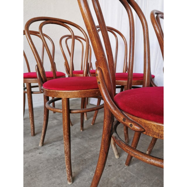 Vintage Bentwood Bistro Chairs, 1970s, Set of 8 For Sale - Image 6 of 18