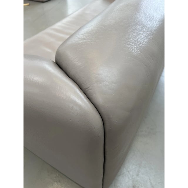 DS 47 Three-Seater Sofa from de Sede, 1990s For Sale - Image 14 of 18