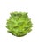 Vintage Italian Majolica Green Trompe l'Oeil Artichoke Leaf Vase For Sale - Image 4 of 12