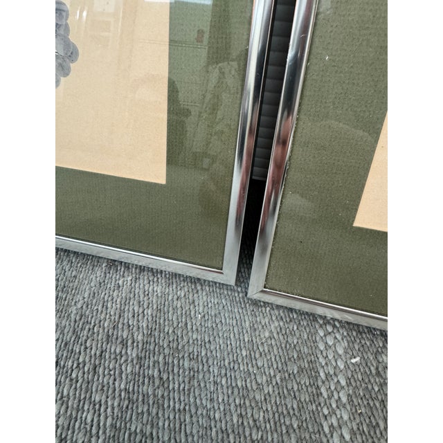 Wine Vintage Wine Grape Varietal Lithographs, Set of Four For Sale - Image 8 of 12