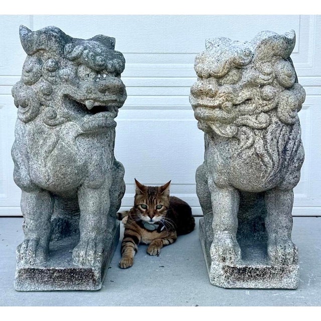 Rare Late 19th Century Meiji Era Japanese Granite Komainu Guardian Lions Hand Carved Stone Foo Dogs / Shishi Pair (c....
