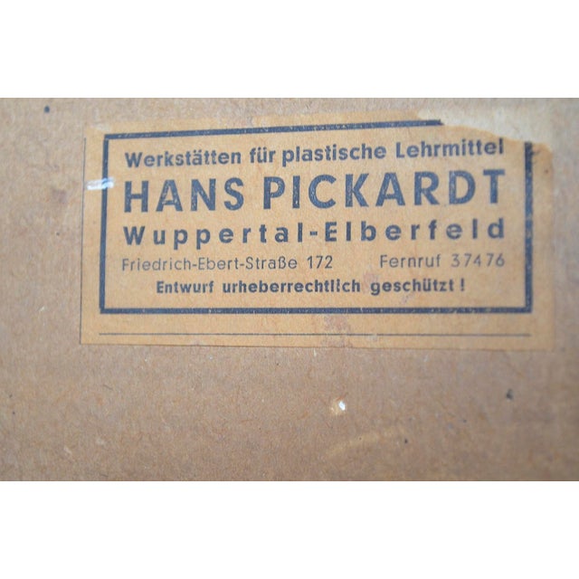 Industrial Showcase from Bemberg Textil, 1950 For Sale - Image 11 of 14