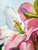 Square Impasto Floral Painting of Lilies For Sale - Image 14 of 18