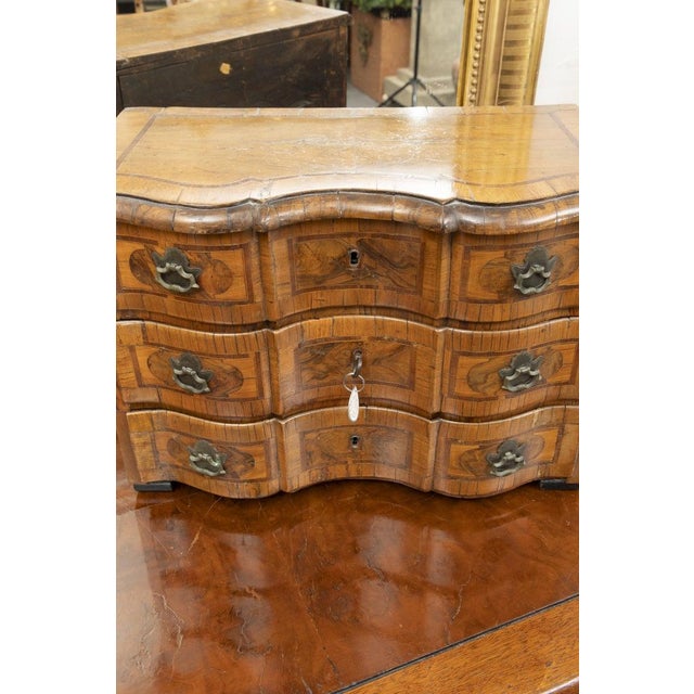Italian Baroque Walnut Specimen Chest For Sale In West Palm - Image 6 of 7